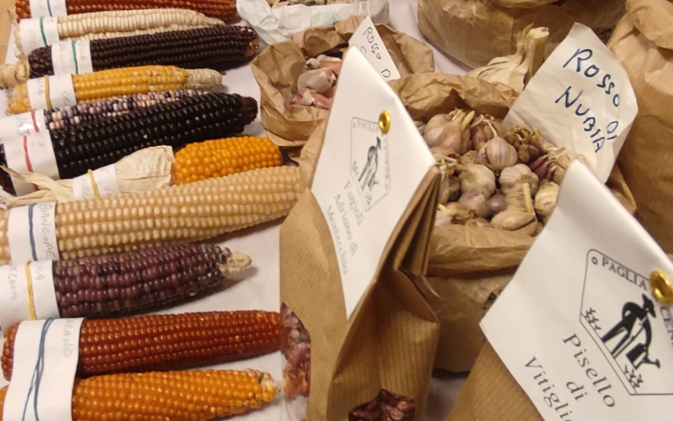 Saatgutfest2024 2.jpeg